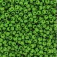 Miyuki seed beads 11/0 - Opaque green 11-411